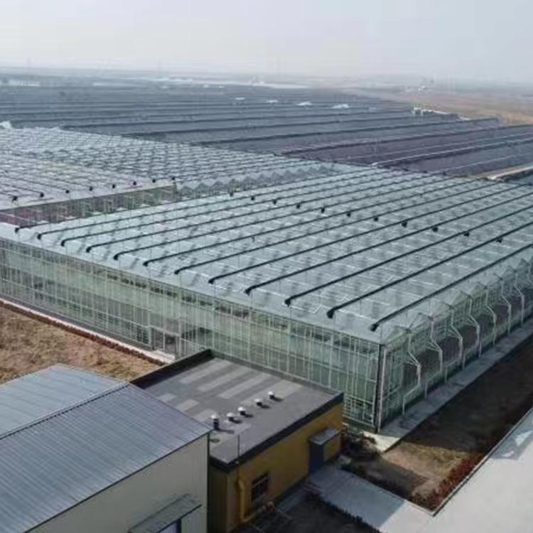 無土栽培，無土栽培技術，無土栽培設備