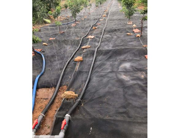 無(wú)土栽培，無(wú)土栽培技術(shù)，無(wú)土栽培設(shè)備