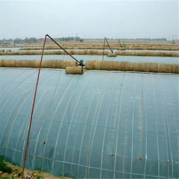 無土栽培,無土栽培技術(shù),無土栽培設(shè)備