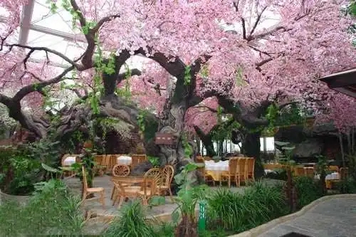 無土栽培，無土栽培技術，無土栽培設備