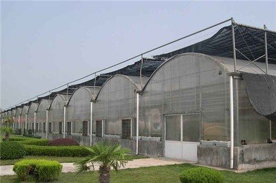 無土栽培，無土栽培技術(shù)，無土栽培設(shè)備