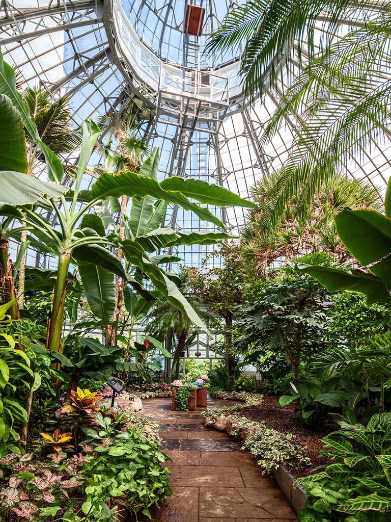 無土栽培，無土栽培技術(shù)，無土栽培設(shè)備