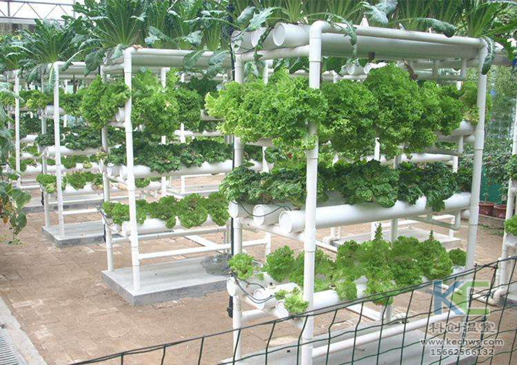 無土栽培，無土栽培技術，無土栽培設備