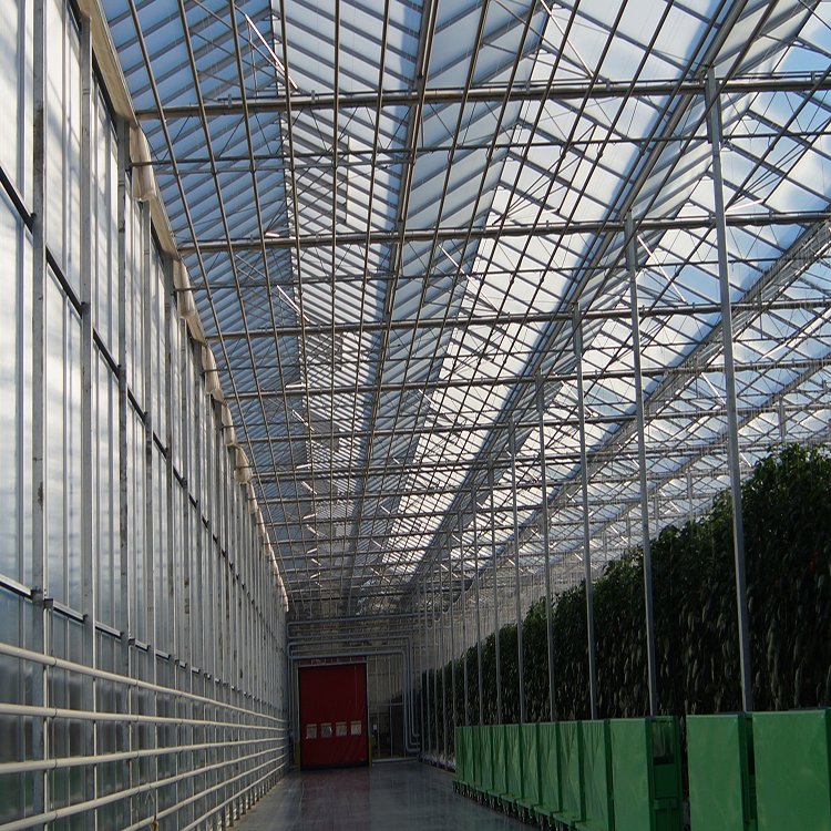 無(wú)土栽培，無(wú)土栽培技術(shù)，無(wú)土栽培設(shè)備