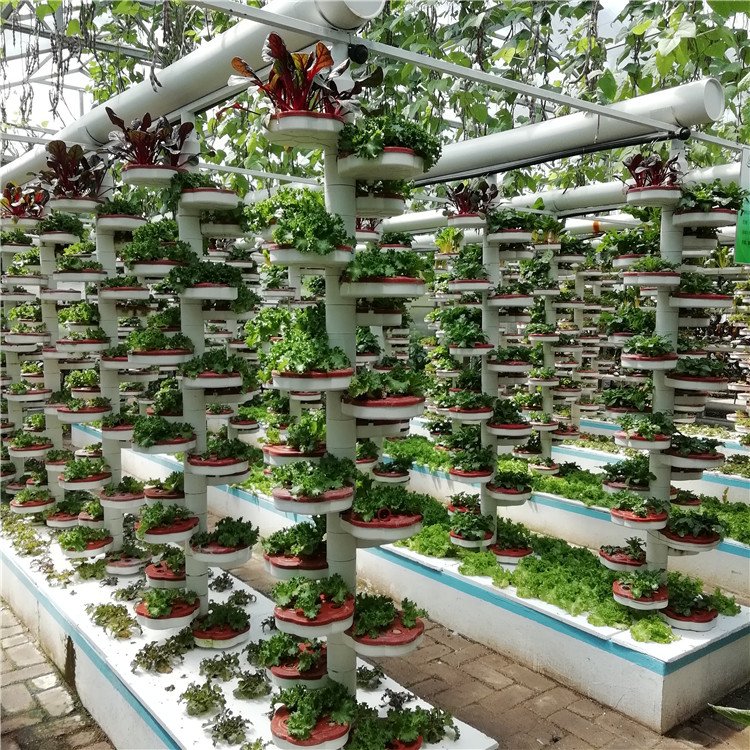 無土栽培，無土栽培技術(shù)，無土栽培設(shè)備