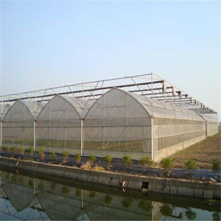 無(wú)土栽培,無(wú)土栽培技術(shù),無(wú)土栽培設(shè)備