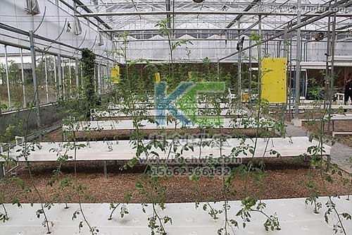 無土栽培，無土栽培技術，無土栽培設備