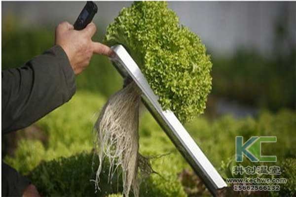 無土栽培，無土栽培技術，無土栽培設備