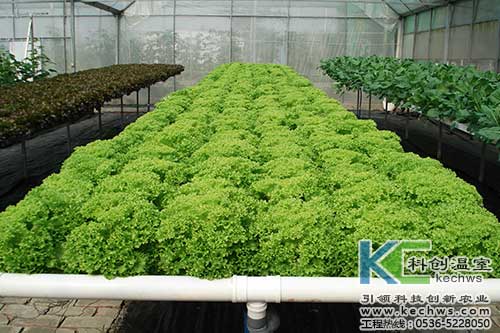 無土栽培，無土栽培技術，無土栽培設備