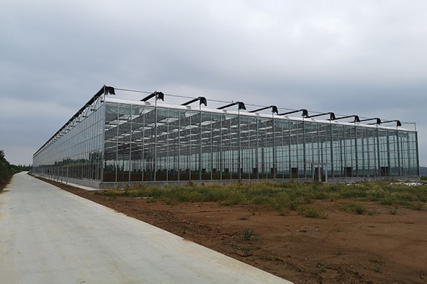 無土栽培，無土栽培技術(shù)，無土栽培設(shè)備