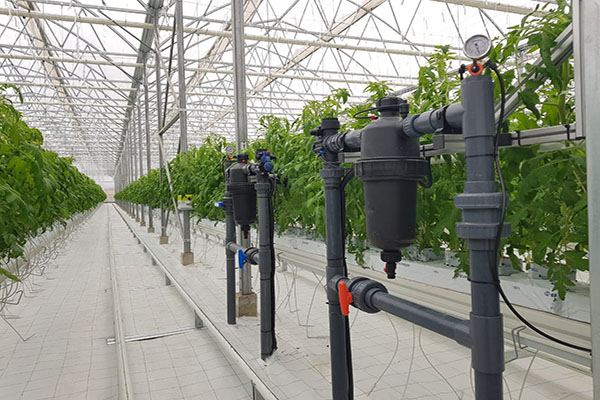 無土栽培,無土栽培技術(shù),無土栽培設(shè)備